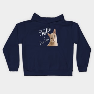 Hello my cat sad Kids Hoodie